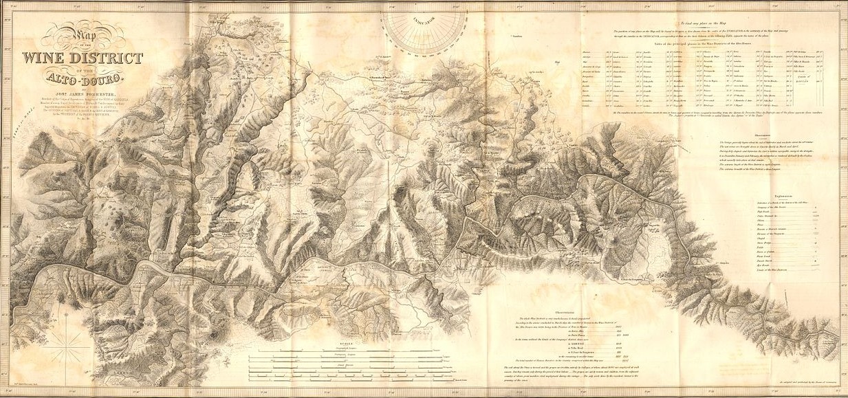 Mapa do Alto Douro – Forrester